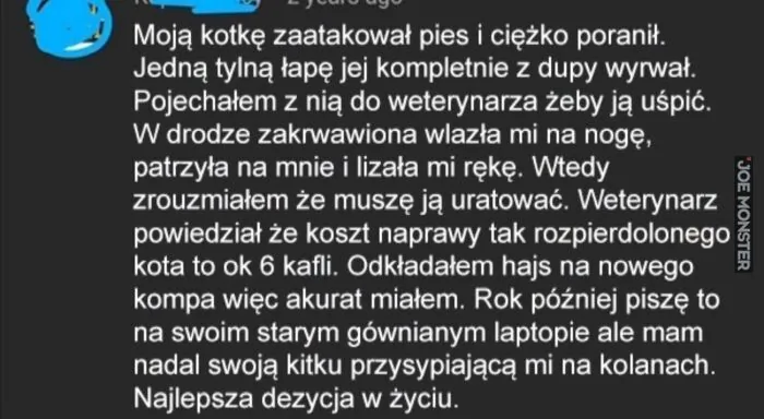 Moją kotkę zaatakował pies i ciężko poranił. Jedną tylną łapę jej kompletnie z dupy wyrwał. Pojechałem z nią do weterynarza żeby ją uśpić. W drodze zakrwawiona wlazła mi na nogę, patrzyła na mnie i lizała mi rękę. Wtedy zrozumiałem 