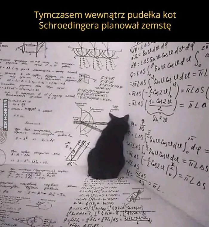 Tymczasem wewnątrz pudełka kot Schrodingera planował zemstę