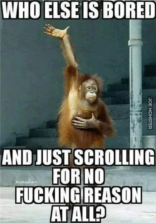 WHO ELSE IS BORED AND JUST SCROLLING FOR NO FUCKING REASON AT ALL?