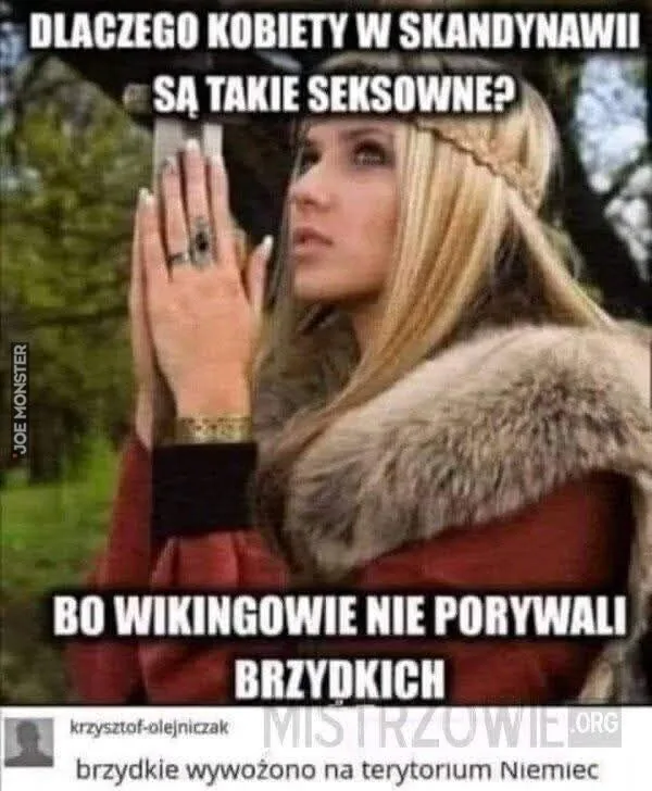 DLACZEGO KOBIETY W SKANDYNAWII SĄ TAKIE SEKSOWNE? BO WIKINGOWIE NIE PORYWALI BRZYDKICH krzysztof-olejniczak MISTRZOWIE.ORG brzydkie wywożono na terytorium Niemiec