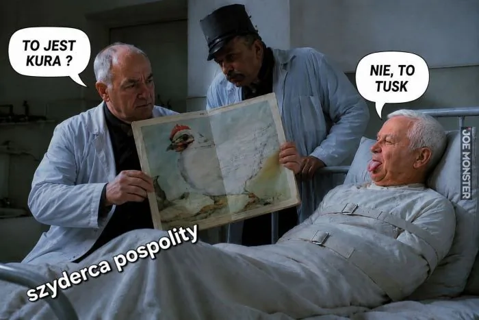 TO JEST KURA ? NIE, TO TUSK szyderca pospolity