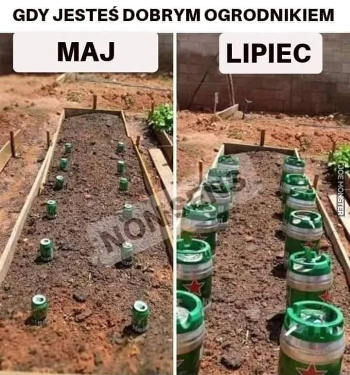 GDY JESTEŚ DOBRYM OGRODNIKIEM
MAJ
LIPIEC