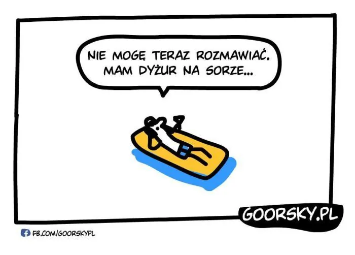 NIE MOGĘ TERAZ ROZMAWIAĆ. MAM DYŻUR NA SORZE...