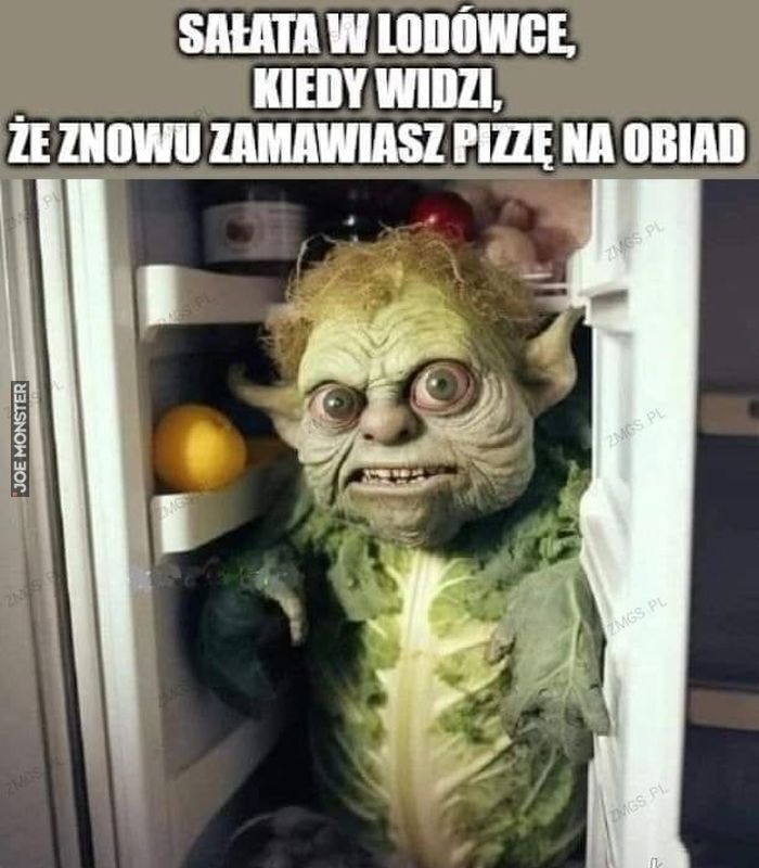 SAŁATA W LODÓWCE, KIEDY WIDZI, ŻE ZNOWU ZAMAWIASZ PIZZE NA OBIAD>