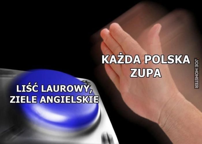 LIŚĆ LAUROWY ZIELE ANGIELSKIE KAŻDA POLSKA ZUPA>