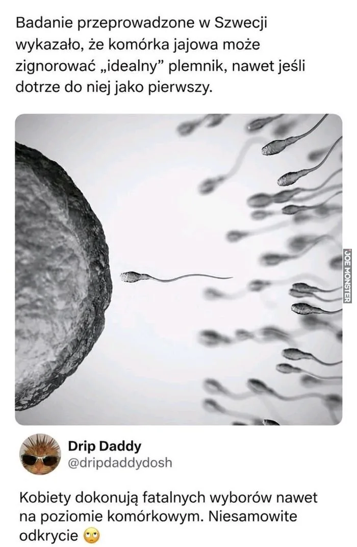 Badanie przeprowadzone w Szwecji wykazało, że komórka jajowa może zignorować „idealny” plemnik, nawet jeśli dotrze do niej jako pierwszy. Drip Daddy @dripdaddydosh Kobiety dokonują fatalnych wyborów nawet na poziomie komórkowym. Niesamowite od