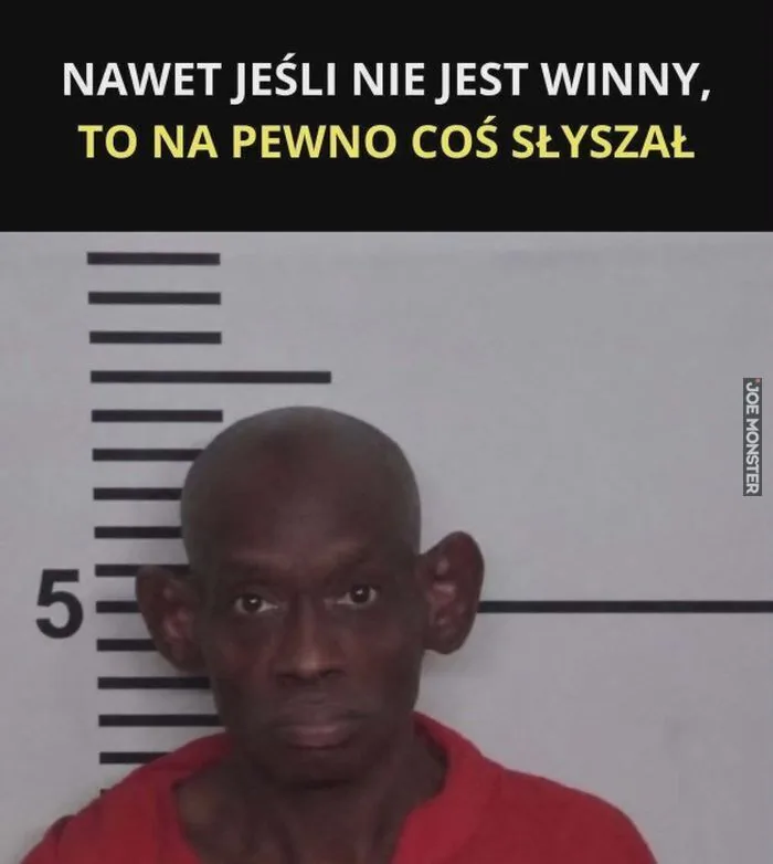 NAWET JEŚLI NIE JEST WINNY, TO NA PEWNO COŚ SŁYSZAŁ