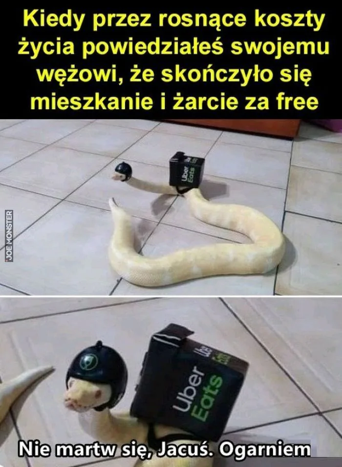 Kiedy przez rosnące koszty życia powiedziałeś swojemu wężowi, że skończyło się mieszkanie i żarcie za free. Nie martw się, Jacuś. Ogarniem. Uber Eats