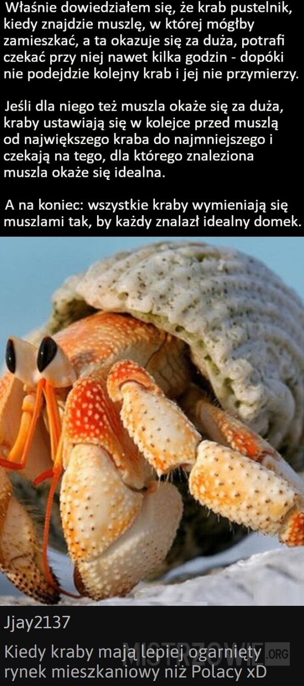 Krab –>