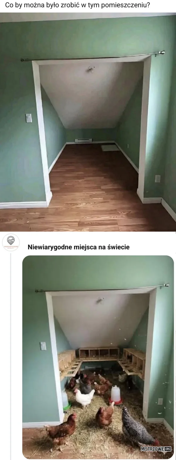 Dzisiaj się wróciłam... –