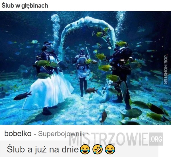 Ślub w głębinach –>