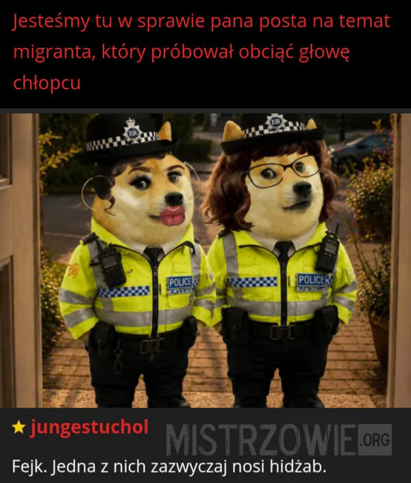 Deweloperka –