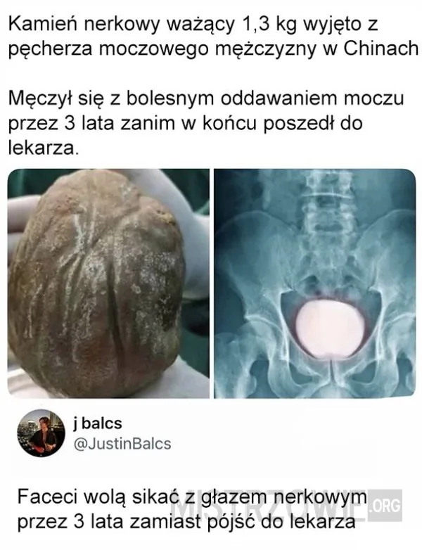 Subskrypcja –