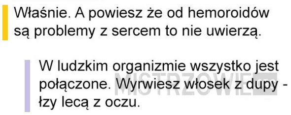 Wszystko połączone –>