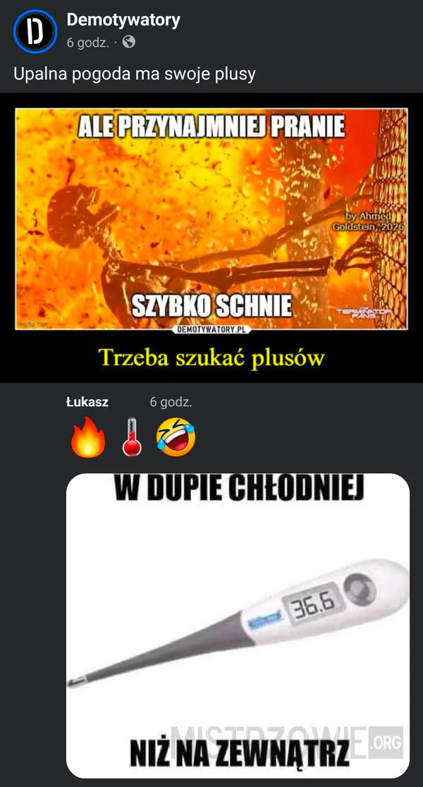 Sędzia na mundialu –