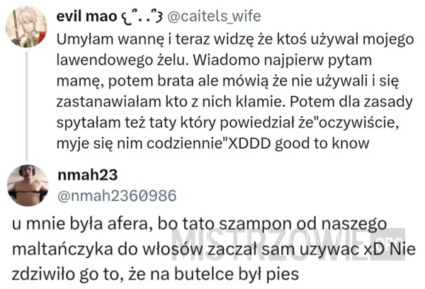 Kandydatka –