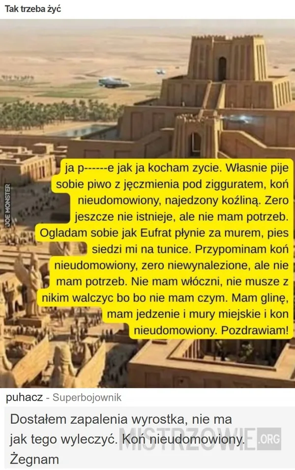 Zarzuty –