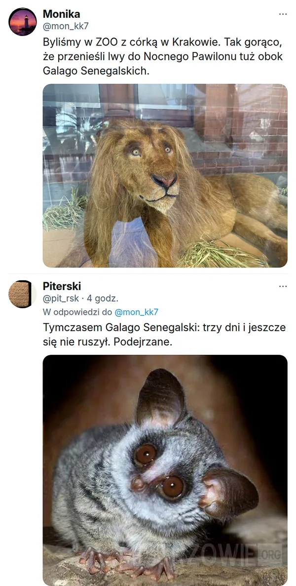 Szkocja –