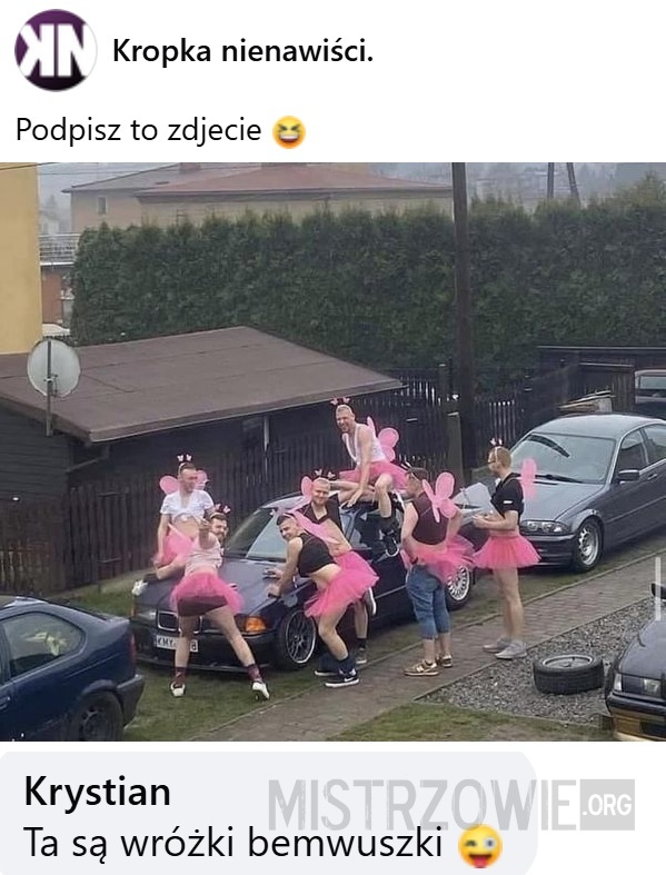 Zdjęcie –>