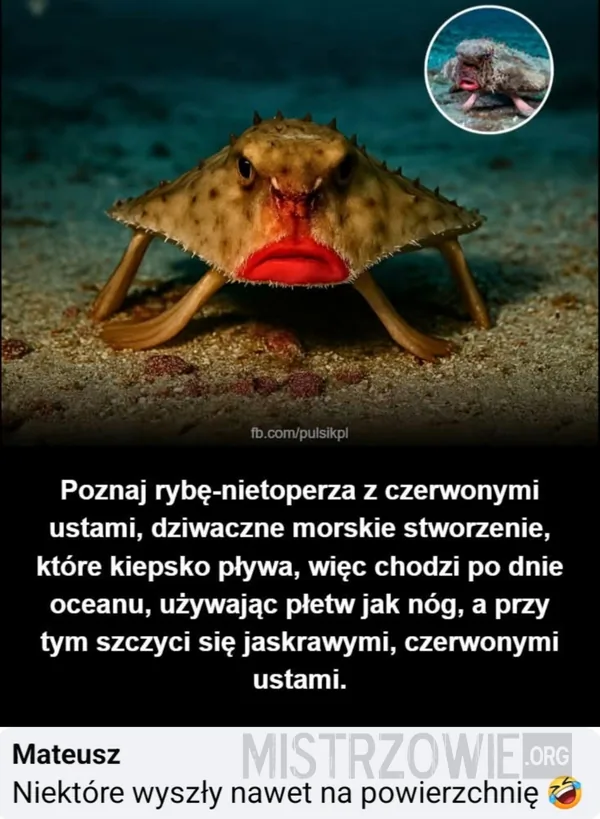 Woda –