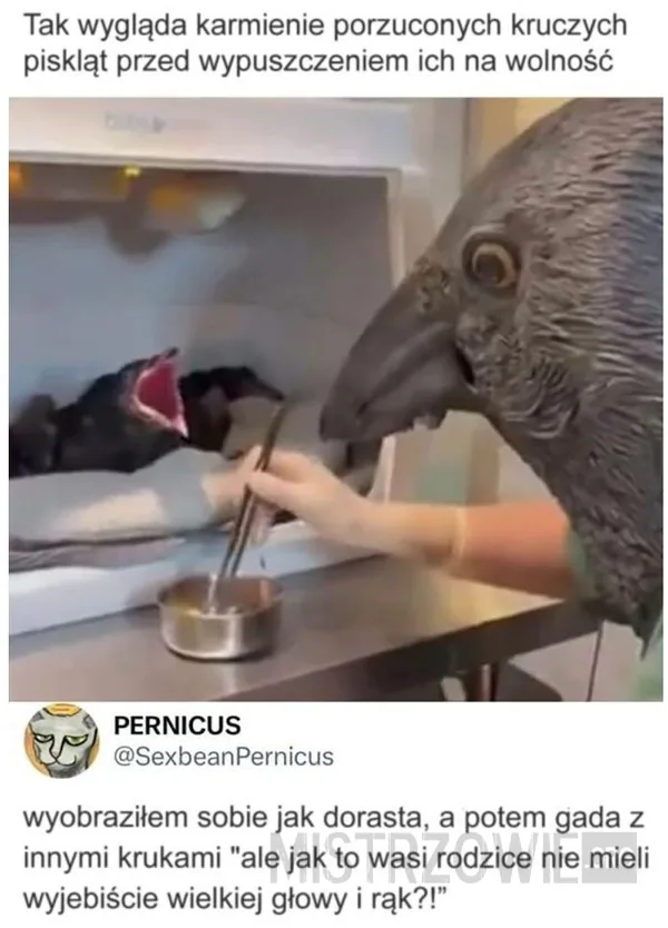 Operacja –