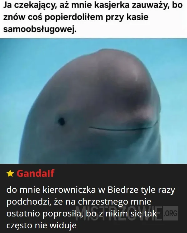 Zatwardzenie –