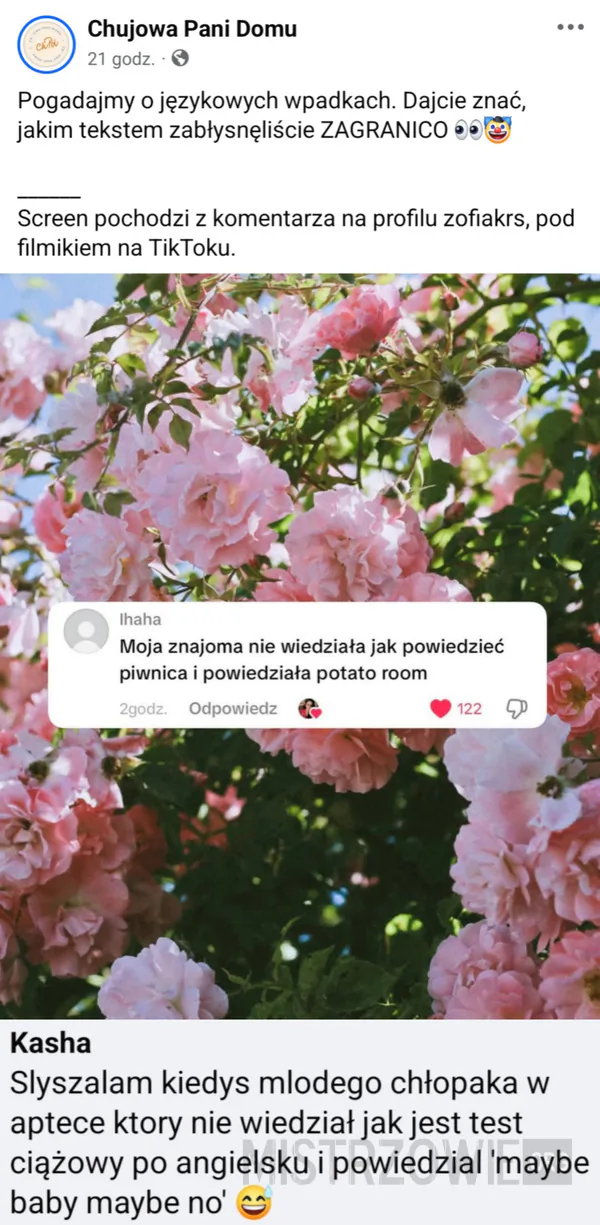 Skolim –