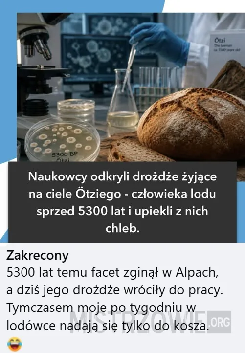 Dziwne te drzewka zapachowe w komunikacji –