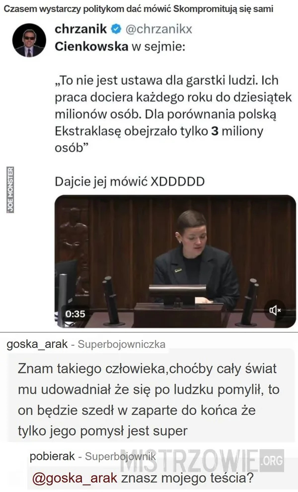 Wypchane zwierzaki –