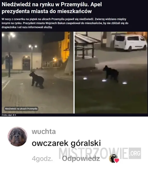 Zjazd –