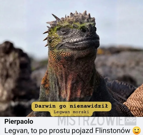 Otwarty związek –