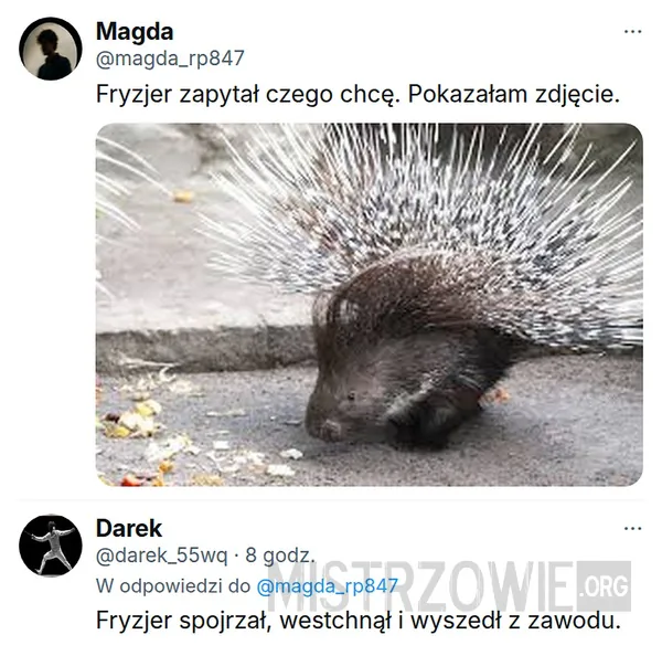 Spokojnie –
