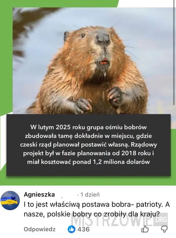 Dużo powszechnie znanej prawdy w tym jest –