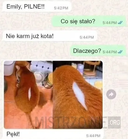 Pytanie –