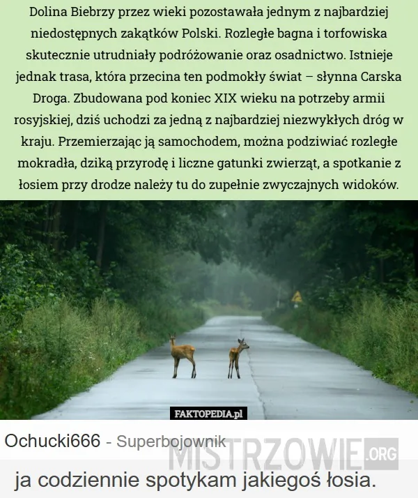 Podróżowanie –