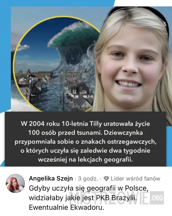 Patriotyczny bóbr –