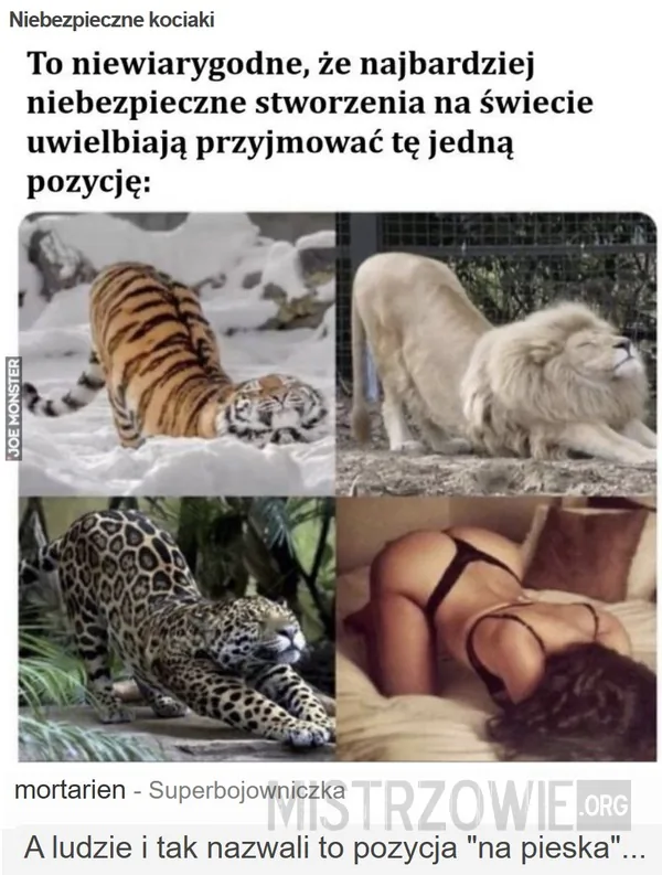 Sondaż –