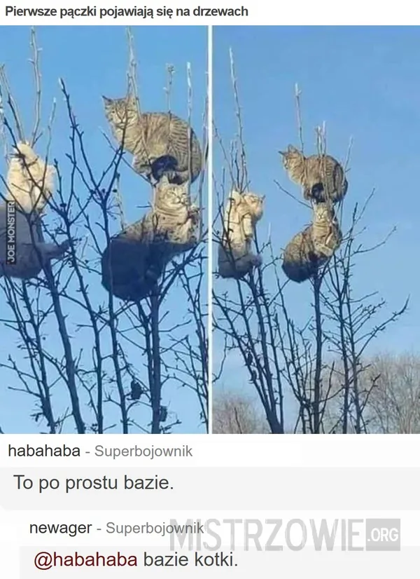 Oj, Majka podpadła –