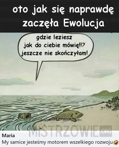 Ewolucja –>