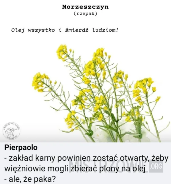Warszawa –