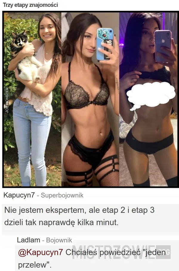 Zwierzęta –