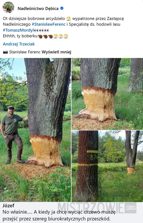 Kanapka –