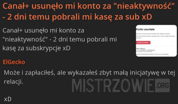 Pizza –