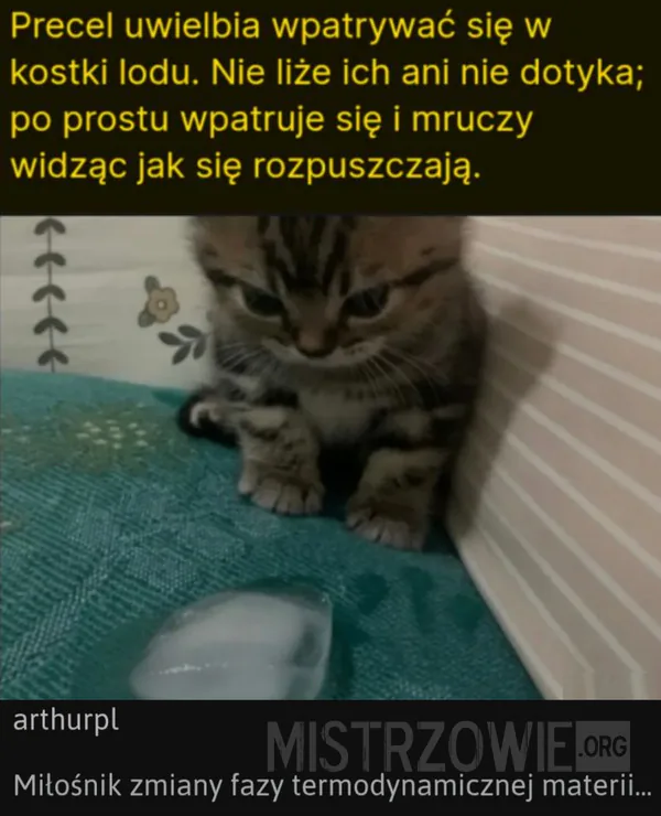 Co zrobiłbyś... –