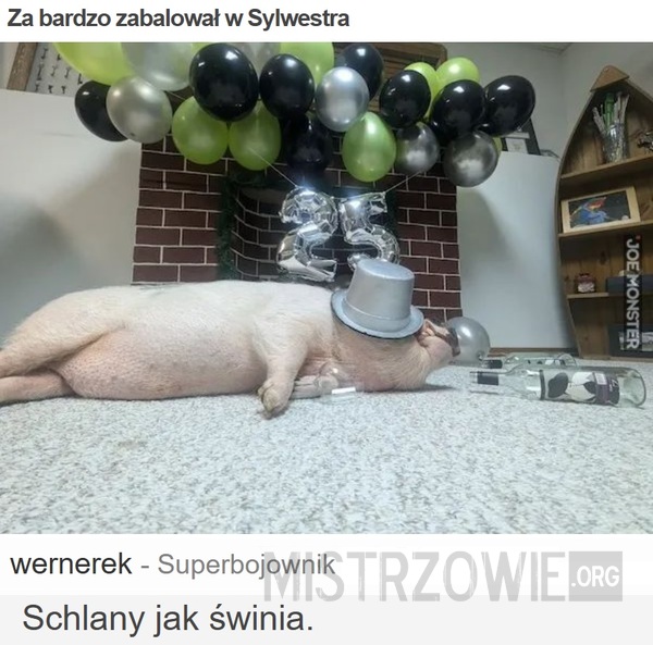 Za bardzo zabalował w Sylwestra –>