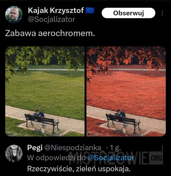 Na łonie natury –
