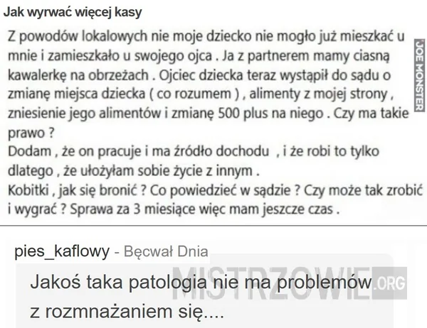 Przypominamy, że dzisiaj środa –