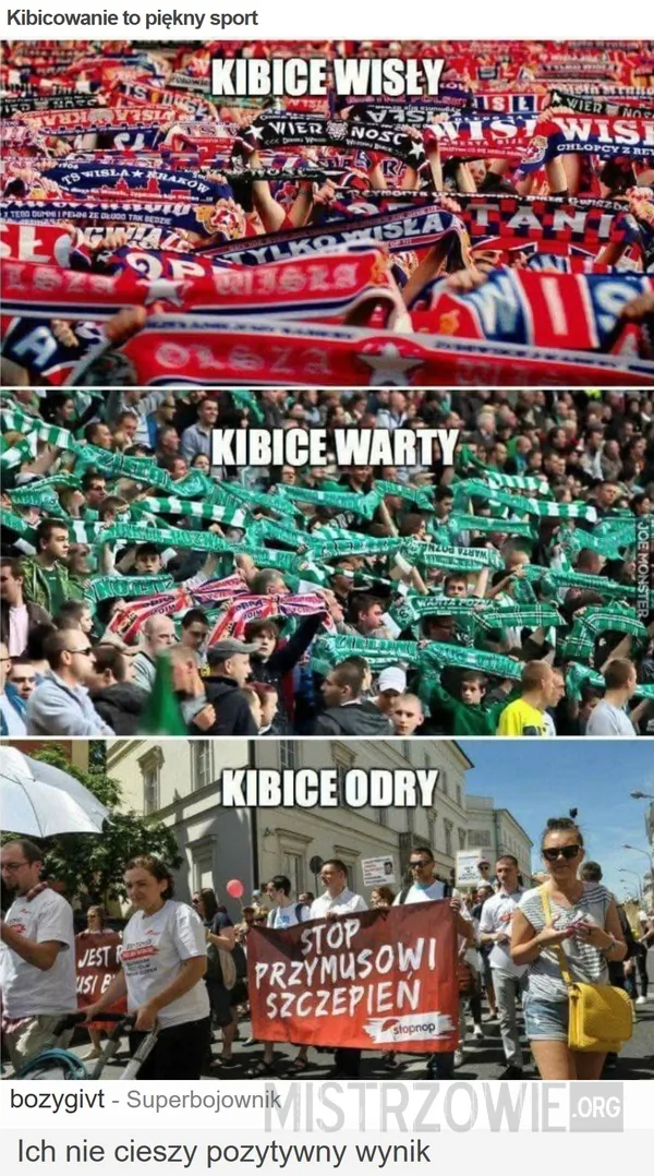 Korposzczurzyca –