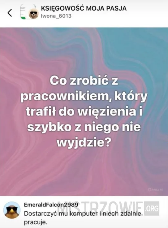 Kot –