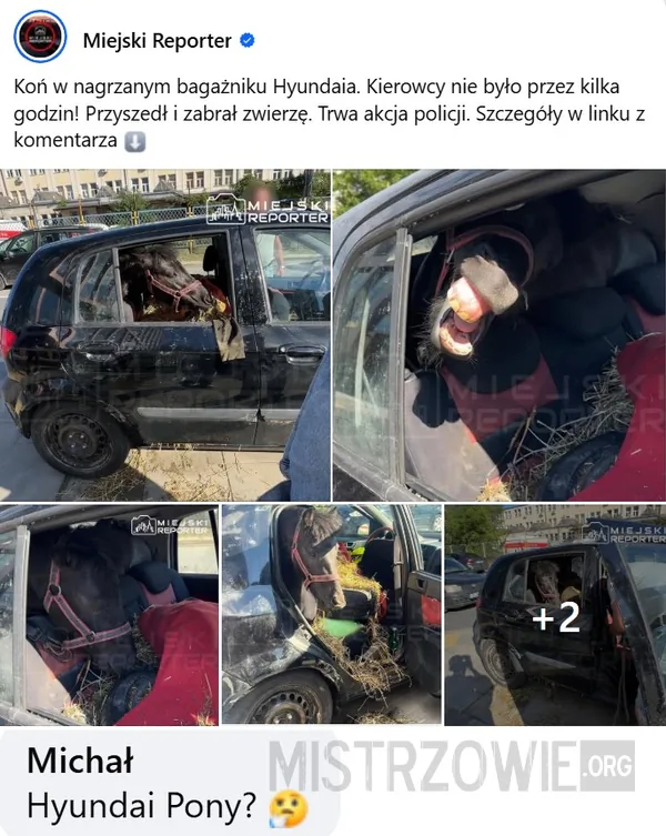 Posłuchał rad –
